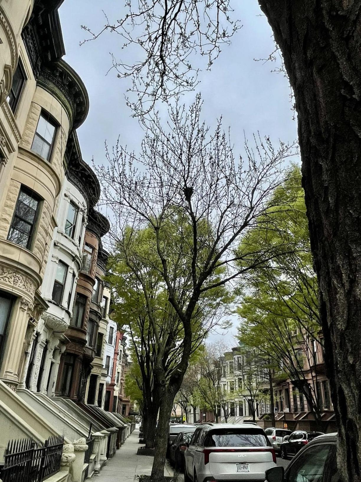 Nyc Townhouse Apartment New York Eksteriør bilde